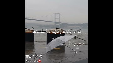 راحة نفسية 🌸- حالات واتس اب دينية - ستوريات قرآن كريم🌸 - مقاطع انستغرام دينية قصيرة - سورة البقرة