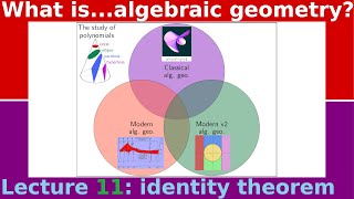 What is...the identity theorem?