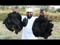 Yummy  Black Chicken Recipe || Cooking Black chicken recipe || Nawabs kitchen