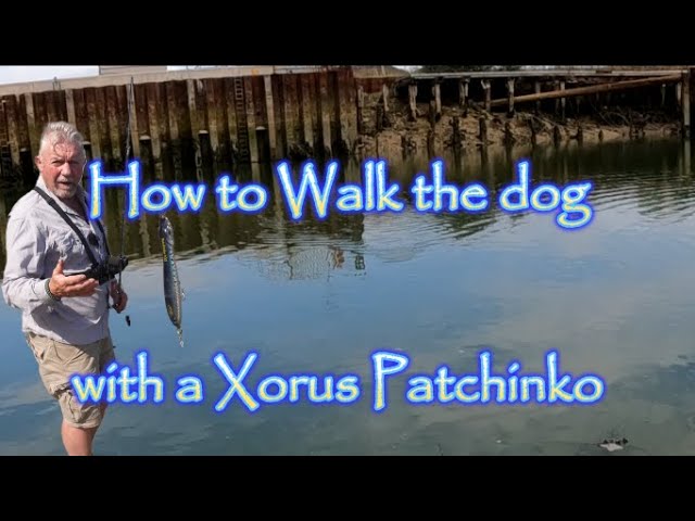 How To Walk The Dog Deadly Top-Water Lure Retrieve: Bob McNally 