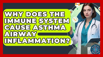 Why Does The Immune System Cause Asthma Airway Inflammation? - All About the Immune System