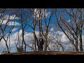 横手ありさ「風」Arisa Yokote 「Kaze」official Music video