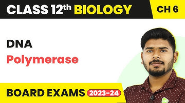 Class 12 Biology Chapter 6 | DNA Polymerase - Molecular Basis of Inheritance (2022-23)