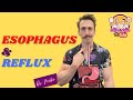 The Esophagus and Reflux