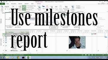 MS Project #5.3:  Using Milestones in Report ●  Easy  ● Short  ●  part 3