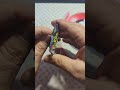 Opening two packs of Paldea Evolved  #myteamforscarletandviolet #pokemoncards #pokemoncardopening