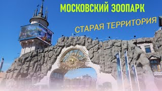 Московский зоопарк, часть 1 (старая территория). Moscow Zoo