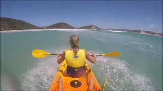 Noosa Dolphin Sea Kayak Tour & 4X4 Beach Adventure
