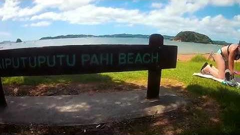 A day in the life at The Pipi Patch! || New Zealand Adventures