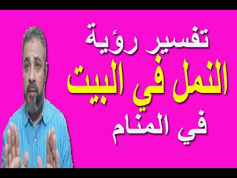 تفسير رؤية النمل الكثير في البيت في المنام اسماعيل الجعبيري