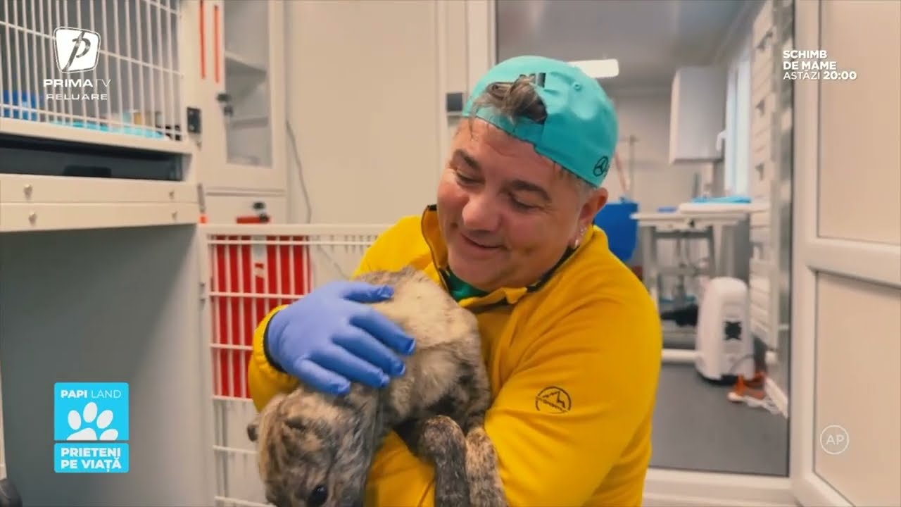 Papi Land: Prieteni pe viață - 1 martie