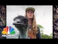 Florida emu finds fame on tiktok