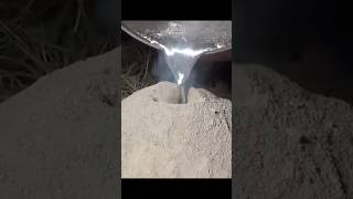 This Man Puts Molten Aluminum Into an Ant Colony's Nest ⁉️🥲😨😰