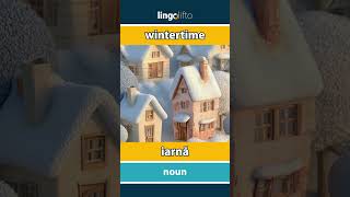 🇬🇧🇷🇴 wintertime - iarnă : learn English : să învățăm engleza : vocabulary builder