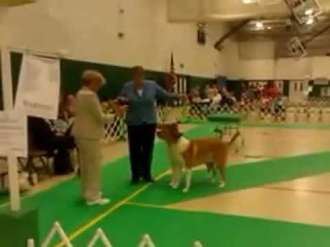 thorndale partners Ethan & Ryan Herding Gp 1 Brace PCKC 2010