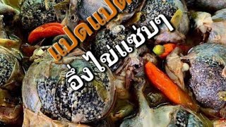 ต้มอึ่ง  อึ่งไข่ Asian street food street food of Thailand