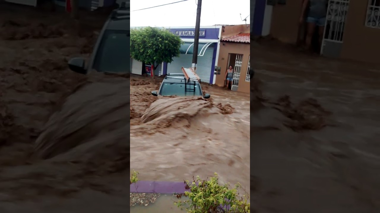 Novo Triunfo Bahia fonte: i.ytimg.com