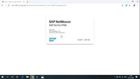 Log on to SAP Easy Access Menu - Step by Step instructions