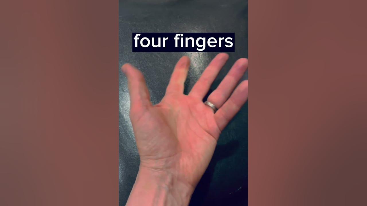 Why Do Cartoons Only Have 4 Fingers Why do cartoon characters have only four fingers? - YouTube