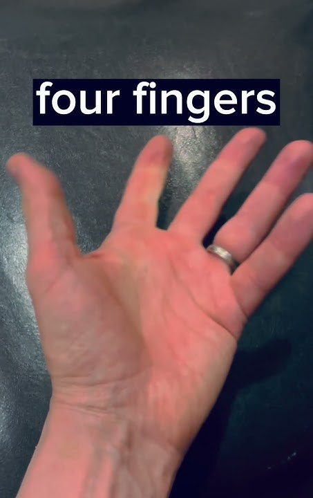 Why Do Cartoons Only Have 4 Fingers Why do cartoon characters have only four fingers? - YouTube