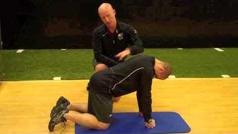 2 x 2 Quadruped Cervical Flexion
