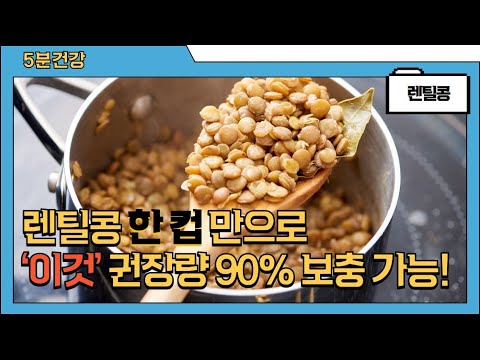 렌틸콩의 놀라운 효능과 주의점 (고르는법, 손질법, 보관법 포함)