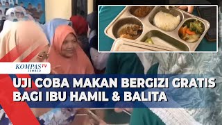Cegah Stunting! Uji Coba Makanan Bergizi untuk Ibu Hamil & Balita