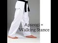 Taekwondo Sarı-Yeşil Kuşak Pumsesi. Poomsae 2  Taegeuk EE Jang.