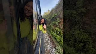 * Coonoor Day - 3 Exploring * ✨🌸🥰 #toytrain #coonoorvlog #minivlog #travelvlog #ytshorts