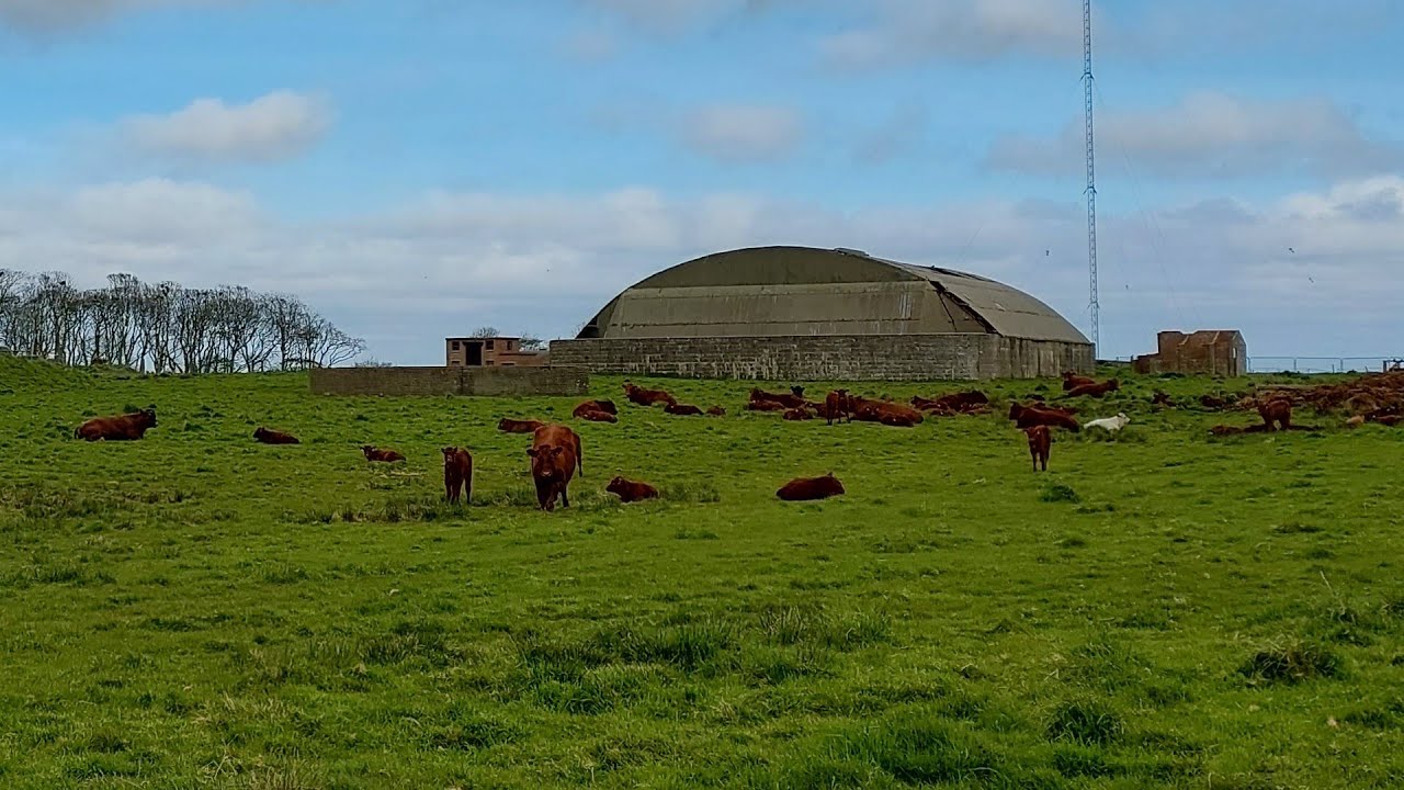 İskoçya Yollarında: Yeşil Meralar, Sürüler ve Enerji | Scotland Road Trip: Nature & Power