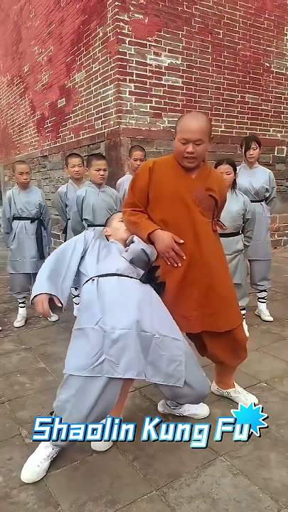 Shaolin Kung Fu Self-defense #kungfu #martialarts