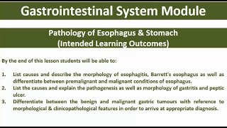 3 Pathology of Stomach