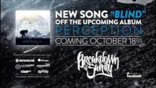 Breakdown of Sanity - Blind (New Song 2013)