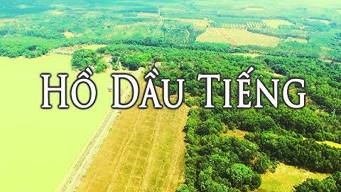 Một góc hồ DẦU TIẾNG - TÂY NINH | Góc nhìn từ Flycam | Color Trip