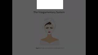 Chapter 5 Part 1