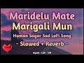 Maridelu Mate Marigali Mun - Slowed + Reverb - Human Sagar Sad Song Mp3 Song