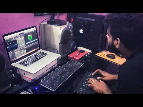 Top Tucker With Local Beat | Seaboard | AllanPreetham