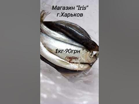 Цена на салаку солёную #салака #соленаярыба #ценывукраине # ...