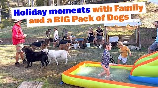Holiday Moments with Family and BIG Pack of Dogs