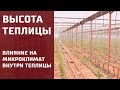 Какая должна быть высота теплицы?