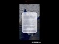 Прямая трансляция aYKA Cats