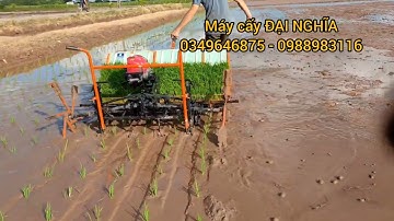 máy cấy lúa kéo tay tự hành ĐẠI NGHĨA