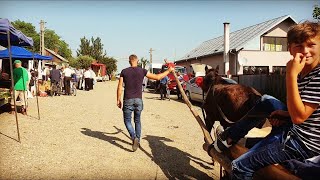 Download Lagu Am cumparat scândură si am adus internita! MP3