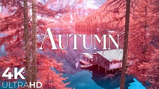 Autumn Melodies | Relaxation Film 4K | Peaceful Relaxing Music | Nature 4k Video UltraHD