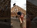 The hemp house is getting a roof