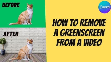 Remove a greenscreen from a video using Canva (ONE CLICK)