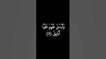 كروما سوداء سورة الفيل #فارس_عباد