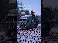 Zombie Rats apocalypse # AI story # foryppp #