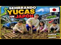 SEMBRANDO YUCAS EN JAPON ! ENSEÑANDO A LA NUEVA GENERACIÓN
