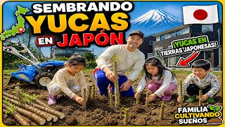 SEMBRANDO YUCAS EN JAPON ! ENSEÑANDO A LA NUEVA GENERACIÓN